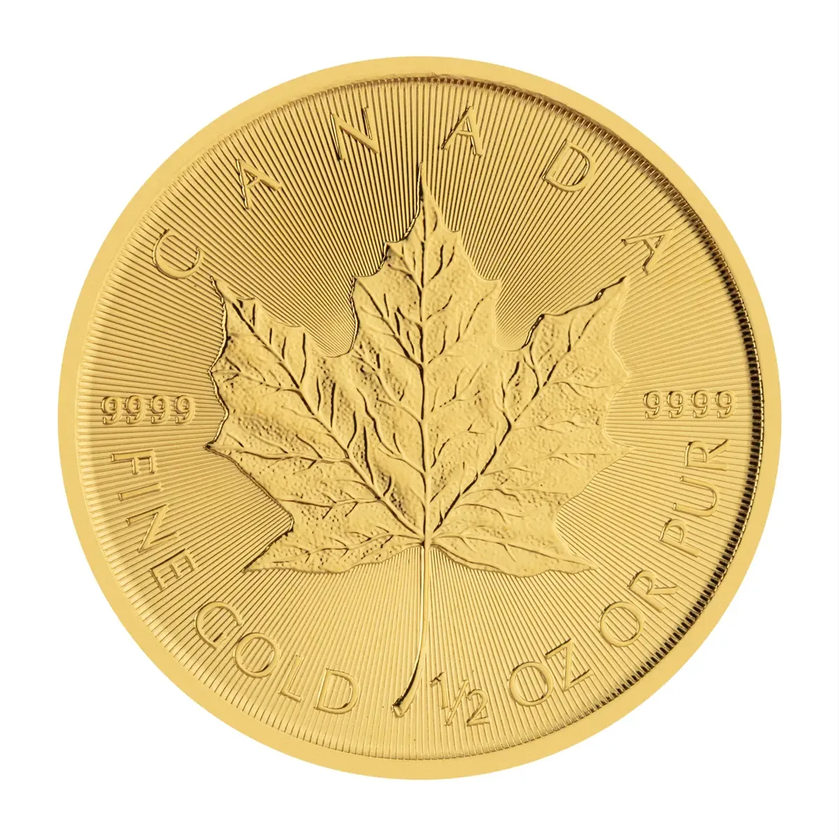 1/2 Unze Maple Leaf Goldmünze (CAN 2026)
